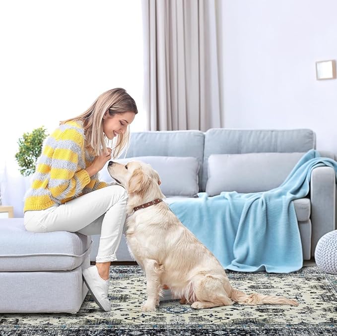 Ruaruarug Washable Area Rug 8x10 for Living Room, Bedroom, Ultra Soft Non Slip Stain & Fade Resistant, Pet & Kids Friendly, Suitable for High Traffic Areas Easy to Clean for Office Kitchen, White Gray