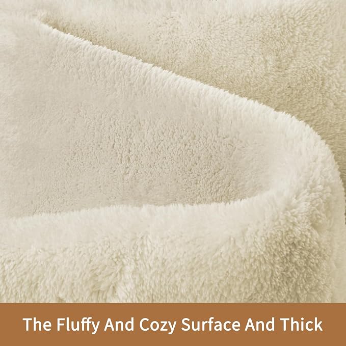 Sour Lemon 6x9 Soft Fluffy Machine Washable Non Slip Carpet Rugs for Living Room, Bedroom, Playroom, Kid's Room - Fluffy Home Decor