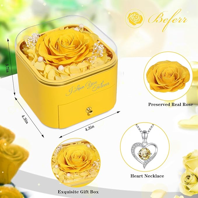Beferr Birthday Gifts for Women Preserved Real Rose with Necklace Eternal Roses Forever Flowers for Delivery Anniversary Mothers Gifts for Mom Her Grandma Wife Sister from Daughter Son