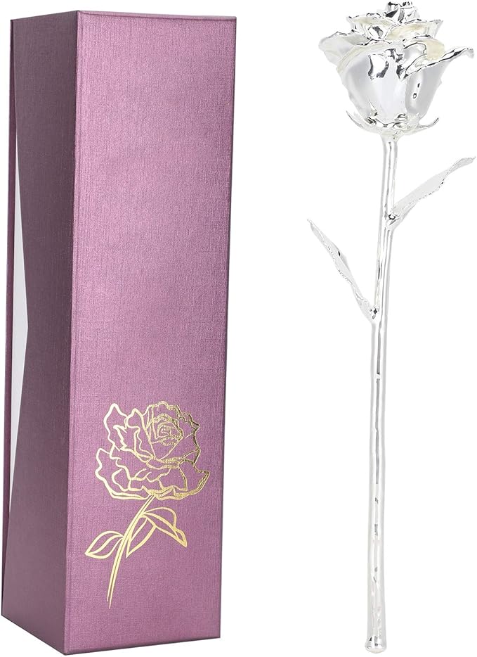 25th Anniversary Silver Rose, 24K Gold Dipped Flower Long Stem Forever Preserved Eternal Rose Present for Her Wife Mom, Birthday Valentine's Day Wedding