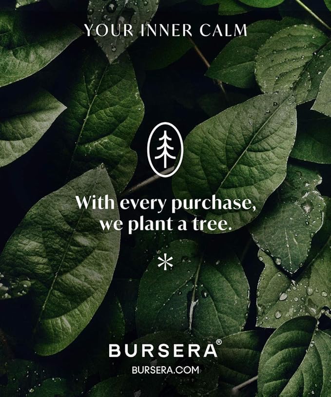 Bursera Palo Santo Sticks, Tree Planted with Every Order, 100% Natural, Ethical & Sustainable, 5-Pack Authentic Real Palo Santo Wood Incense Sticks from Peru for Aromatherapy, Smudging