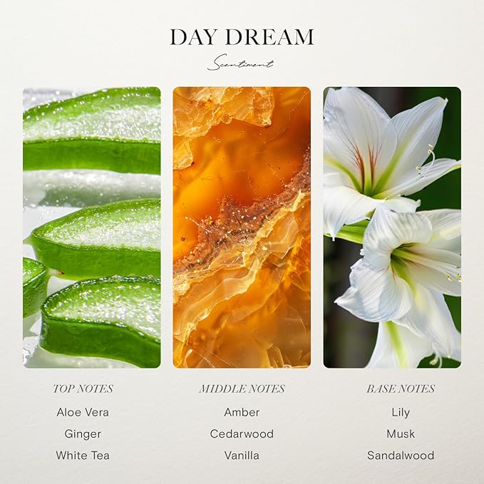 Scentiment Day Dream Fragrance Oil – Aloe Vera, Cedar, White Tea Scent for Diffusers, Aromatherapy Oil (120 mL)