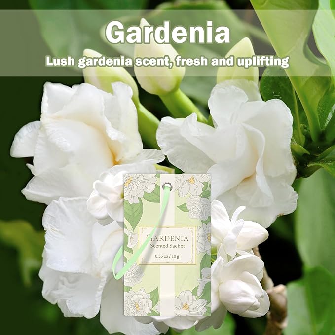 SCENTORINI Scented Sachets for Drawers and Closets, Gardenia Scent 14 Pack, Long-Lasting Sachets Bags, Closet Freshener Sachet for Wardrobe Freshener, Cupboard, Suitcases, Handbags