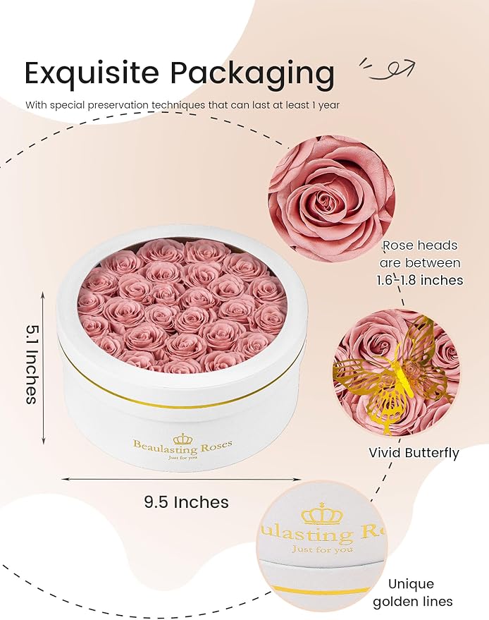 27 Preserved Roses Forever Flowers Real Roses in a Box Mother's Day Birthday Flowers for Her Mom Women Wife Valentine's Day, Dusty Pink Roses