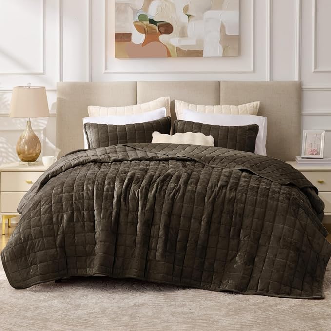 BEDELITE Velvet Quilt Set Queen Size - Luxury Soft Velvet Comforter Bedding Set for All Season, Lightweight Quilted Box Stitch Oversized Bedspread Coverlet with 2 Matching Shams, Mocha Brown