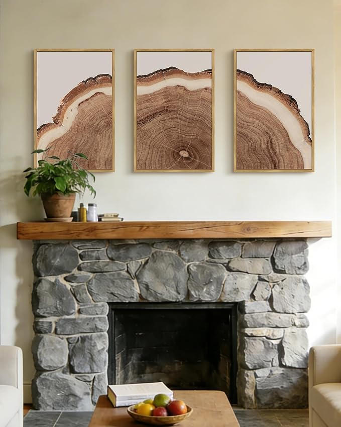 PHOPAGO Vintage Tree Rings Wood Framed Wall Art Large 16x24in Modern Retro Stump Wall Decor Nature Farmhouse Rustic Art Prints Home Decor - Natural Framed