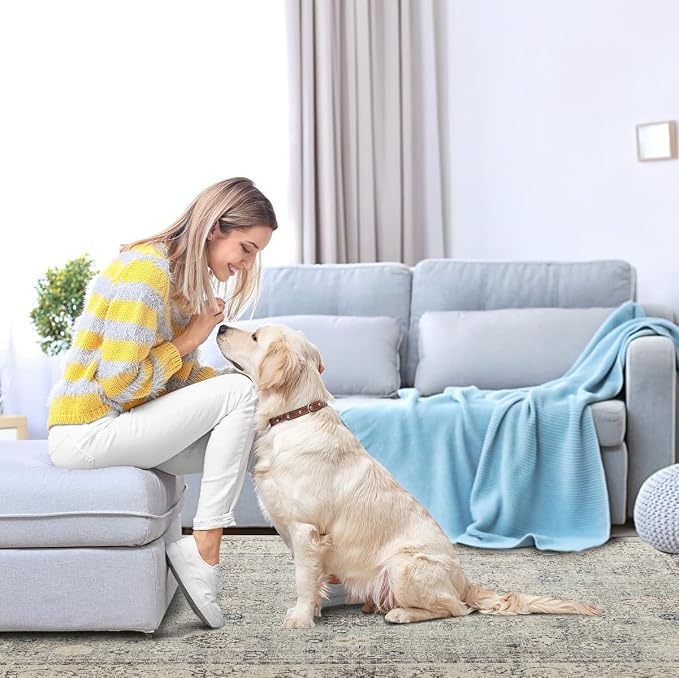 Ruaruarug Washable Area Rug 8x10 for Living Room, Bedroom, Ultra Soft Non Slip Stain & Fade Resistant, Pet & Kids Friendly, Suitable for High Traffic Areas Easy to Clean for Office Kitchen, Gray
