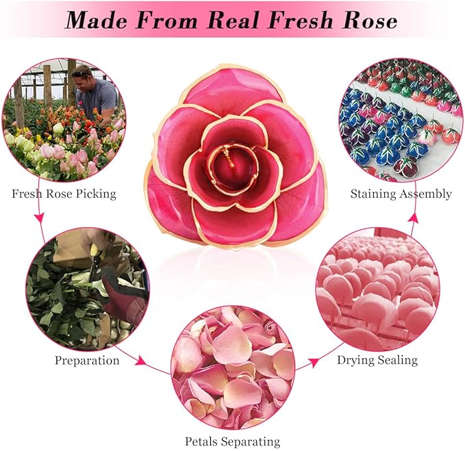 Gold Plated Rose, 24K Gold Dipped Real Rose Flower Gift for Lover Mom Wife Daughter Girl Friend, Present on Christmas, Mother's Day, Wedding Anniversary, Birthday, Proposal, Reward (Pink with Stand)