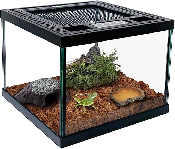 Mini Reptile Glass Terrarium Tank 8 * 8 * 6" Full View, Amphibians Habitat Enclosure Cage for Frog,Spiders,Dubia Cockroach,Praying Mantis,Cricket,Tarantula,Hermit Crab