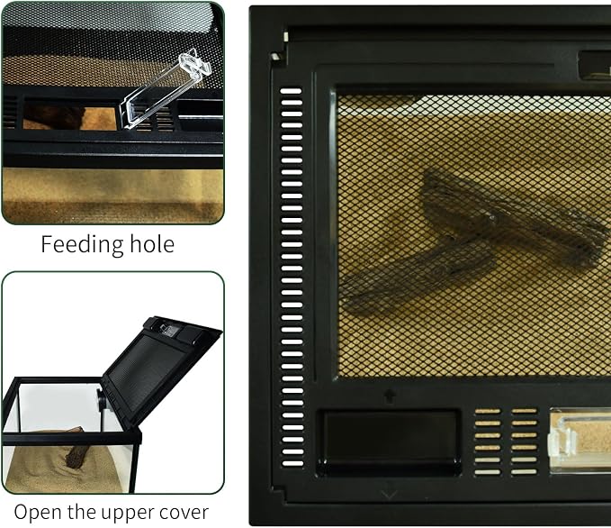 Reptile Glass Terrarium Tank 12"*8"*6",Small Cage Full View with Top Screen Ventilation Habitat Enclosure for Tarantula,Frog,Gecko,Insects,Spiders,Snakes,Hermit Crab,Turtle,Fish