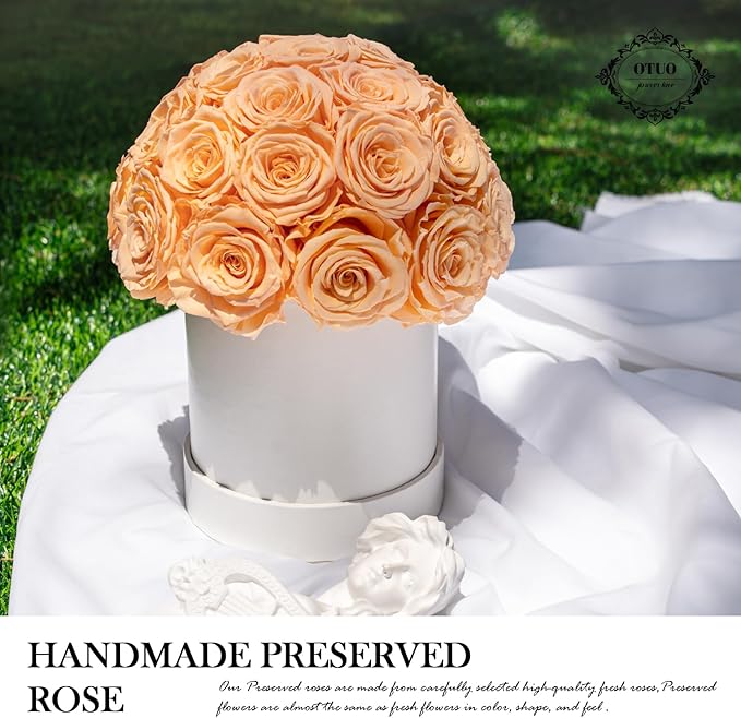 27 Preserved Roses in Round Dome Shape, Mother's Day Real Forever Flowers Rose Box, Eternal Rose Gift for Her Women Girl Friend Wife, Flower Gift for Valentines Day(Champagne)