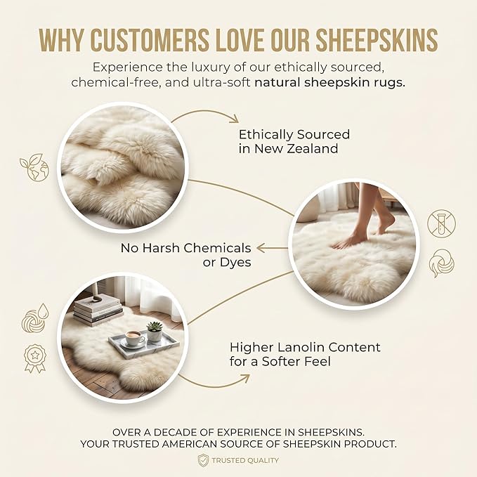 Premium Genuine Fur Sheepskin Rug - Real N.Z. 100% Sheepskin Natural Luxury Fluffy Lambskin Fur Area Rug - Seat Cover for Sofa Chair and Bedroom - 2' W x 3'L - Natural Creamy White Wool