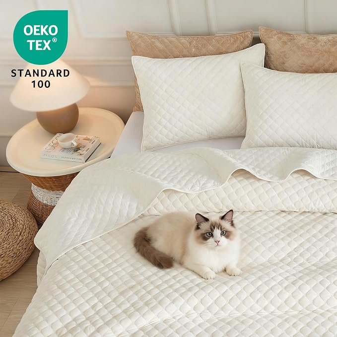 Luxury Soft Velvet Quilt Set Queen Size - Lightweight Velvet Bedding Set for All Season, Oversized Bedspread Coverlet Comforter Set with 2 Pillow Shams, Cream White, Diamond