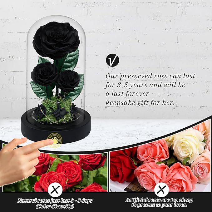 3 Preserved Flowers Roses in Glass Dome for Beauty and The Beast Decor Real Rosas Eternas for Women Mom Birthday,Forever Black Roses for Delivery, Christmas for Wife Girlfriend Her