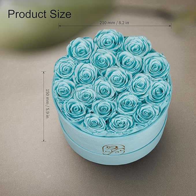 Gifts for Women Preserved Roses Flower Box, Luxury Velvet Box with 20 Roses, Preserved Flowers, Romantic Gift for Her, Wife, Girlfriend, Birthday Anniversary Christmas (Teal Blue)