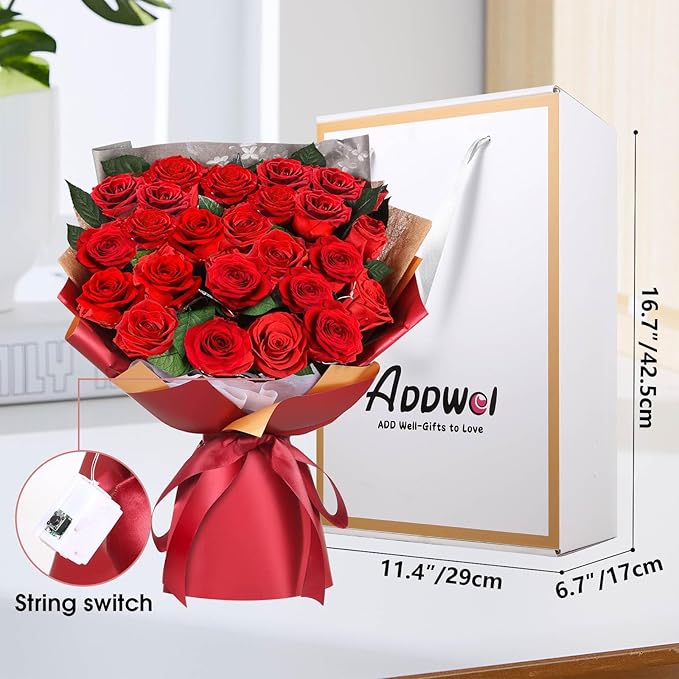 ADDWel 24 Preserved Red Roses Bouquet - Real Roses That Last 3+ Years, Romantic Anniversary & Birthday Gifts for Women, Wife, Girlfriend - Two Dozen Infinity Flowers for Delivery