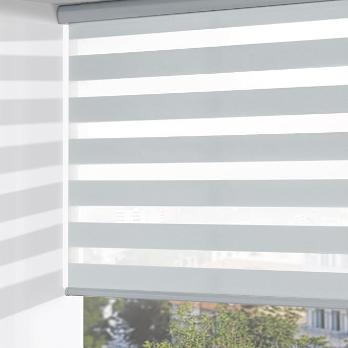 ChrisDowa Cordless Zebra Blinds for Windows, Dual Layer Free-Stop Light Filtering Window Roller Shades, Pull Down Privacy Zebra Shades for Home, Office, Bedroom, Door (71" W x 72" H, Light Grey)