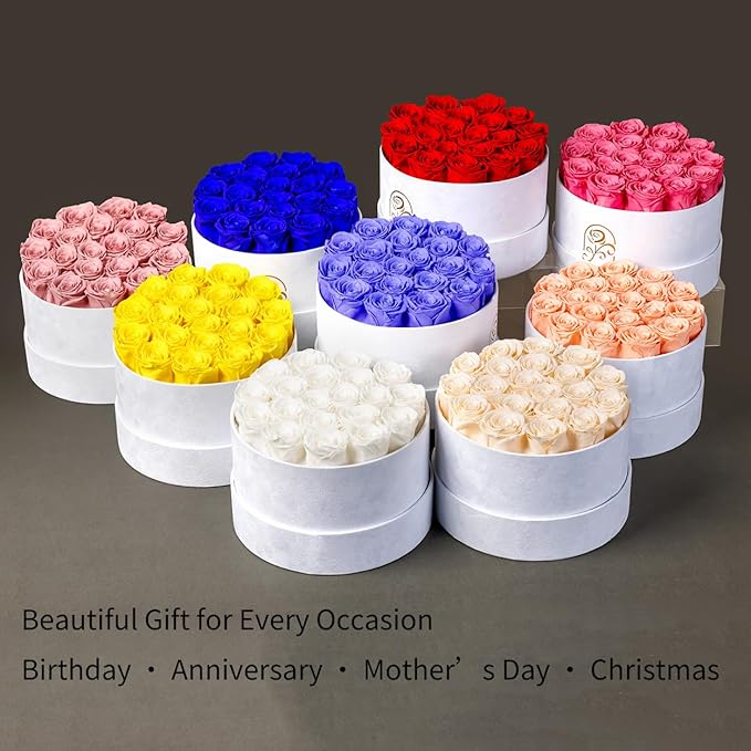 Gifts for Women Preserved Roses Flower Box, Luxury Velvet Box with 20 Roses, Preserved Flowers, Romantic Gift for Her, Wife, Girlfriend, Birthday Anniversary Christmas (White)