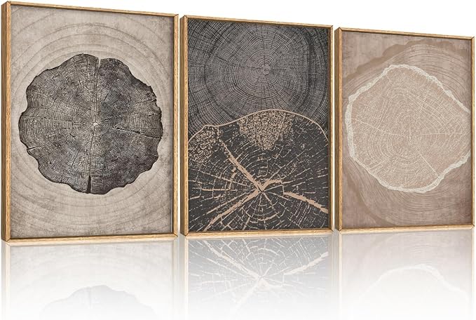 HOURIA Neutral Brown Tree Rings Framed Canvas Wall Art Set,Vintage Abstract Dark Gray Wood Stump Wall Decor,Modern Minimalist Wood Grain Slice Artwork for Living Room,Bedroom,Farmhouse- 12"x16"x3