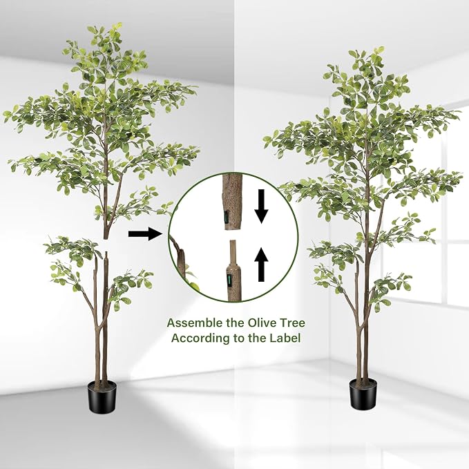 Black Olive Tree 6ft, Artificial Shady Lady Tree with Natural Trunk and Realistic Leaves, Tall Floor Plants for Living Room Decor Home Office Indoor Pack of 1
