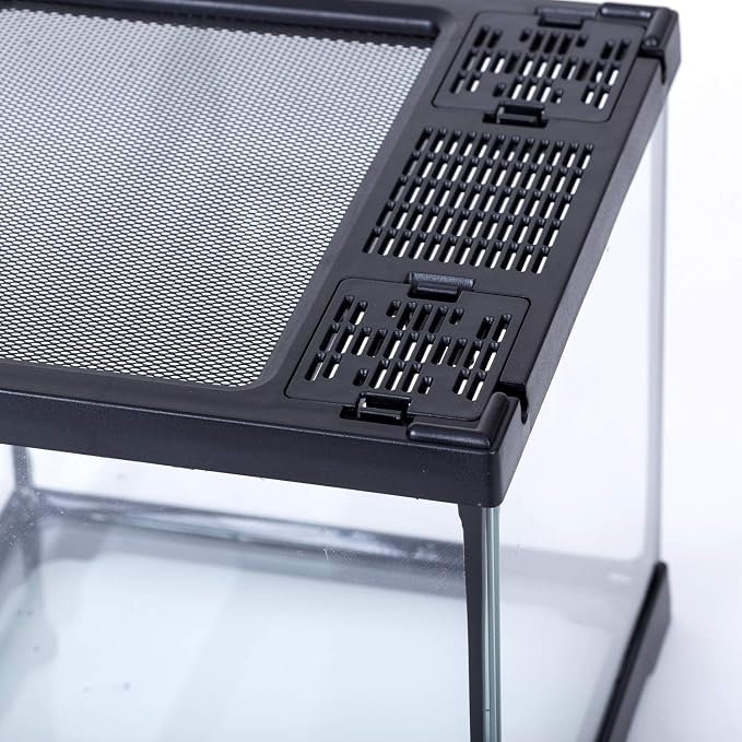 REPTIZOO Mini Reptile Glass Terrarium Tank 8"x8"x8", Front Opening Door Full View Visually Appealing Mini Reptile or Amphibians Glass Habitat