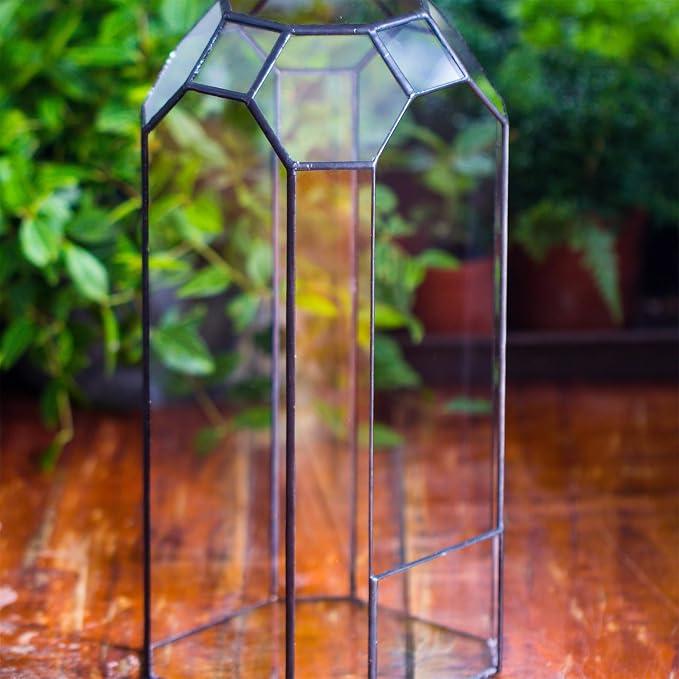 NCYP No Door Glass Geometric Octagon Open Terrarium 5.5"x5.5"x12.8" | Glass Planter for Tall Plants, Orchid, Small Begonia Pitcher, Home Garden Office Decor, Micro landscape (Terrarium Only)