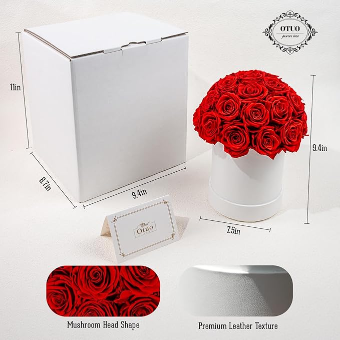 27 Preserved Roses in Round Dome Shape, Mother's Day Real Forever Flowers Rose Box, Eternal Rose Gift for Her Women Girl Friend Wife, Flower Gift for Valentines Day(Red)