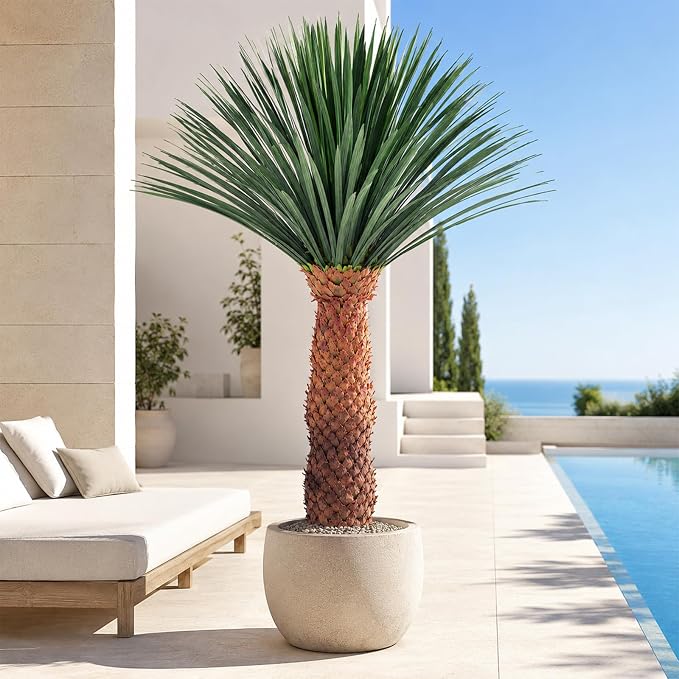 6FT Artificial Agave Plant in Black Pot Tall Faux Agave Floor Plant with Removable White Coating, Fake Yucca Look Plant for Indoor Outdoor Front Porch Patio Home Office Hotel Desert Style Decor