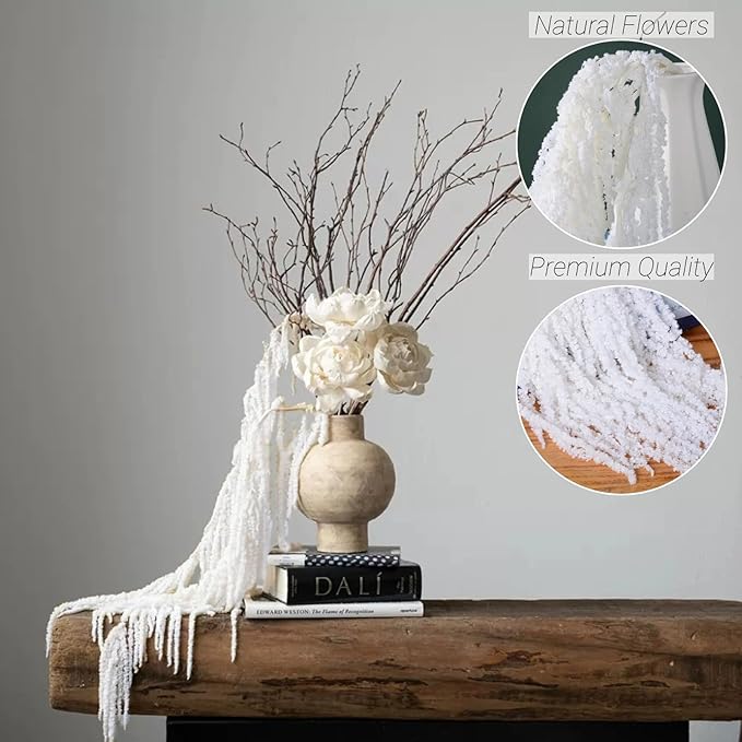 Glicrili 10Pcs Natural Dried Wisteria Hanging Flowers - 23" Bleached White Preserved Amaranthus for Wedding Decor, Dry Flowers Arrangement, Garlands, Home Decor, Vase Filler, Wall Decoration