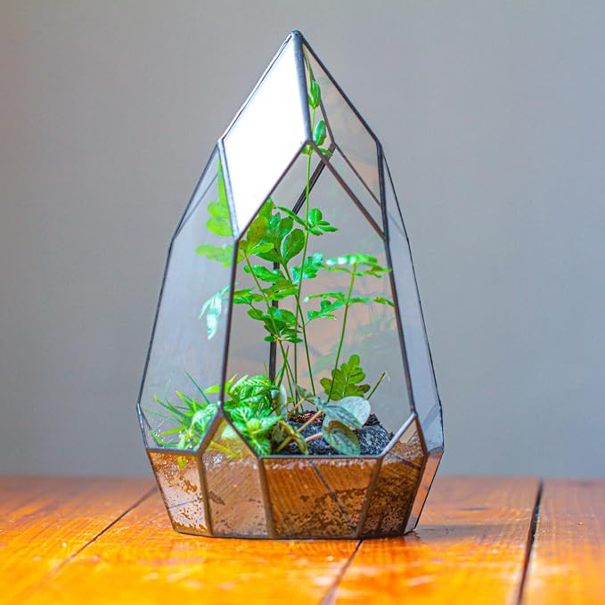 NCYP No Door Glass Geometric Terrarium Planter for Succulent Plants, Fern, Balcony Display Pot - Black Miniature Botanical Garden, Large (Terrarium Only) 12.2" Height, 7.1" Width