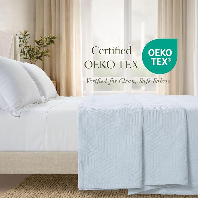 Threadmill Luxury Cotton Blankets for Queen Size Bed | All-Season 100% Cotton Queen Size Blanket | Aster Jacquard Cozy Lightweight, Soft Breathable Coverlet fits Full Size Bed, 90x92 | Light Blue