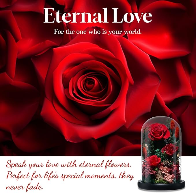Preserved Roses,Forever Fresh Flowers 7.48in,Gift for Women,Mom,Grandma,Wife,Girlfriend,Sister,and Daughter Perfect for Birthday,Mother’s Day,Valentine’s Day (True Romance1)