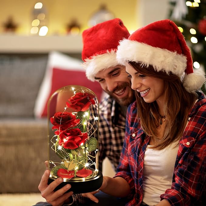 Beauty and The Beast Rose Valentines Day Gifts for Her, Birthday Gifts for Women, Light Up Roses, Glass Dome Rose with LED Lights, Red Roses, Valentines Mother Women's Gift for Mom Wife Girlfriend