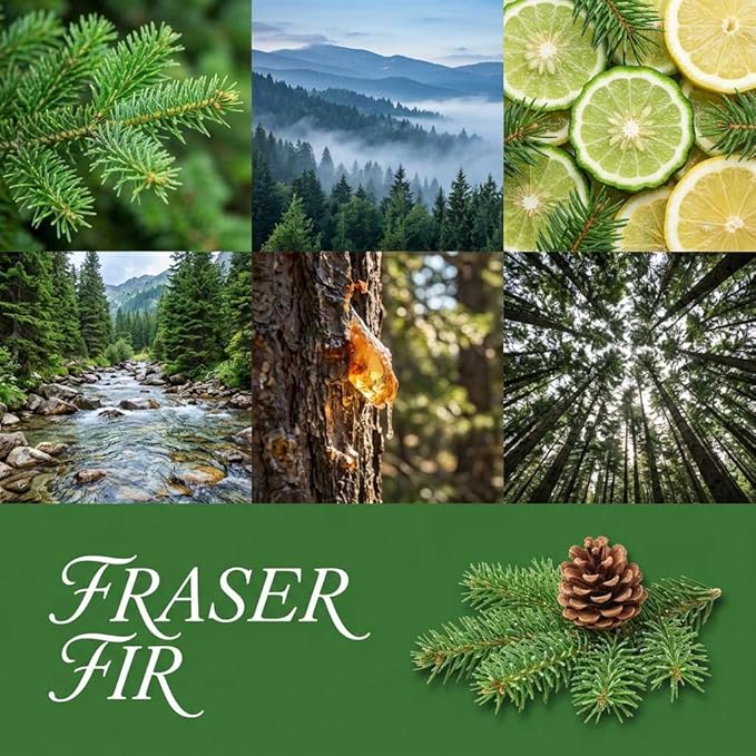 Fraser Fir Strongly Scented Hand Poured Vegan Wax Melts, 12 Scented Wax Cubes, 6.4 Ounces in 2 x 6-Packs