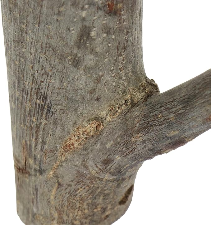 2Pcs Real Wood Tree Branch Wall Hook,Thickness 3cm-4cm with Screw | Farmhouse Rustic Decorative Wooden, with Bark Trunk