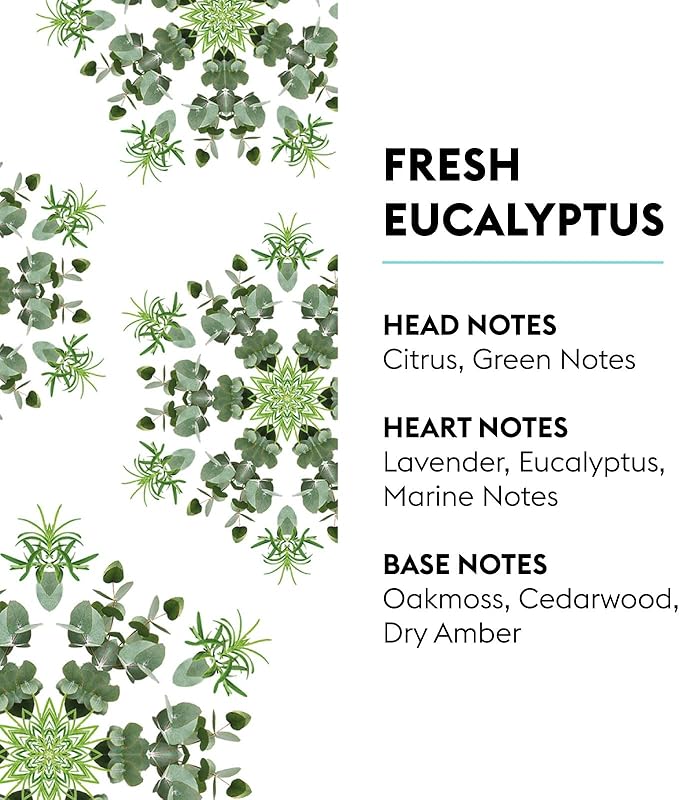 Maison Berger Fresh Eucalyptus Lampe Berger Refill, 1 Liter (33.8 fl oz), 2-in-1 Catalytic System, Neutralizes Odors and Diffuses Fragrance, Citrus, Green Notes, Lavender, Eucalyptus, Made in France