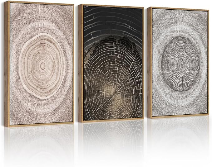 PHOPAGO Vintage Wood Tree Rings Wall Art Farmhouse Rustic Framed Canvas Paintings Living Room Bedroom Decor Nature Artwork 11x14in Natural Framed