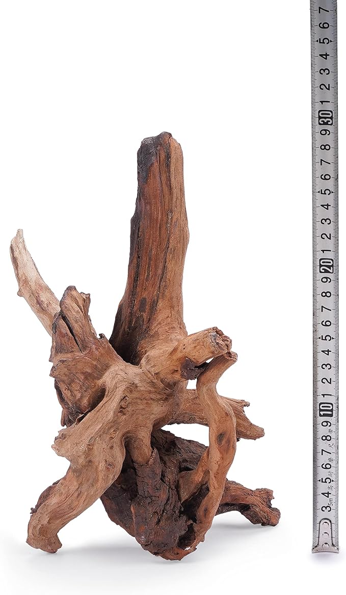LANDEN Panna Natural Driftwood for Aquarium Decor Freshwater Fish Tank(12-16 inches, 30-40cm) 4pcs Terrariums Vivariums Reptile and Amphibian Enclosures Lizard Bearded Dragon Tortoise Various Shapes