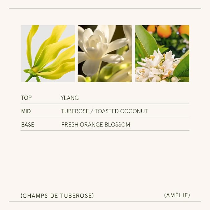 LA JOLIE MUSE Tuberose Floral Scented Candles for Home, 11 oz Natural Soy | Luxury Jar Candle, Clean Non Toxic Wax, Gift for Women & Men, Decorative Candle for Candle Warmer, Ylang, Orange Bloom