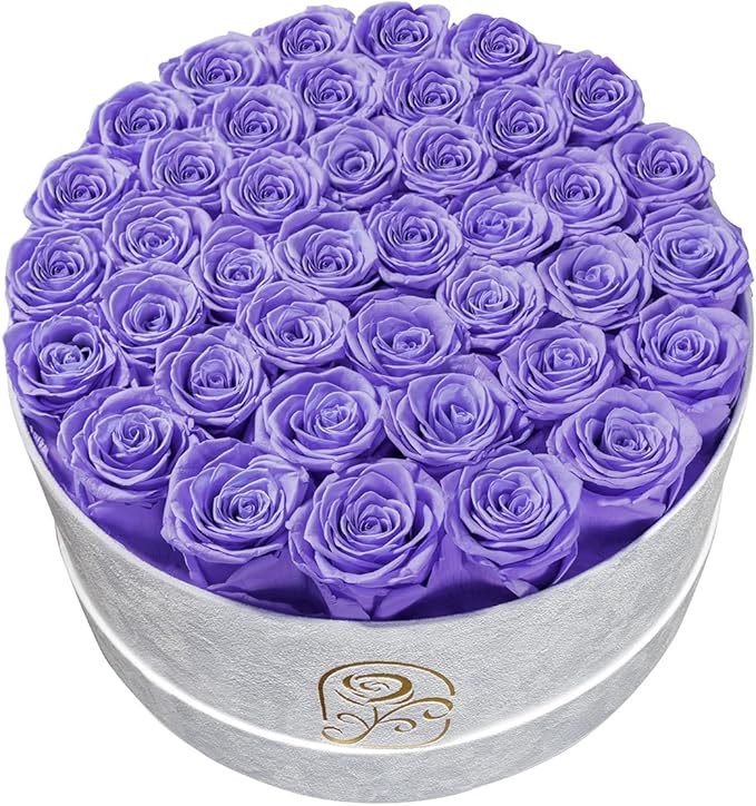 Gifts for Women Preserved Roses Flower Box, Luxury Velvet Box with 40 Roses, Preserved Flowers, Romantic Gift for Her, Wife, Girlfriend, Birthday Anniversary Christmas (Light Purple)