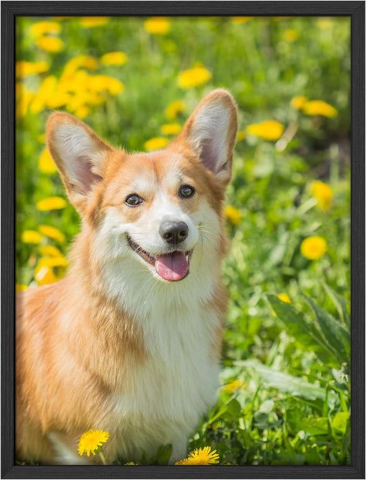 NWT Custom Framed Poster Prints with Your Any Photos, Personalized Canvas Pictures for Wall to Print Framed - 12"x16" Black