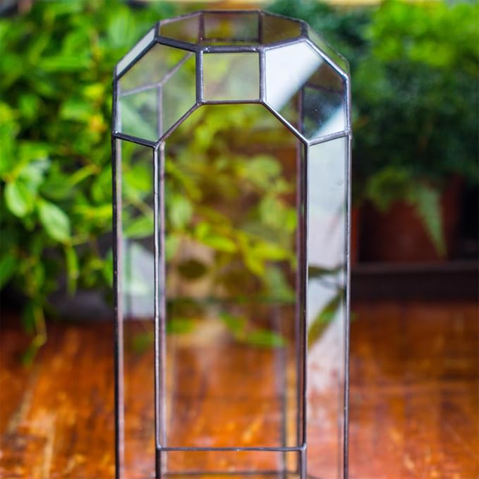 NCYP No Door Glass Geometric Octagon Open Terrarium 5.5"x5.5"x12.8" | Glass Planter for Tall Plants, Orchid, Small Begonia Pitcher, Home Garden Office Decor, Micro landscape (Terrarium Only)