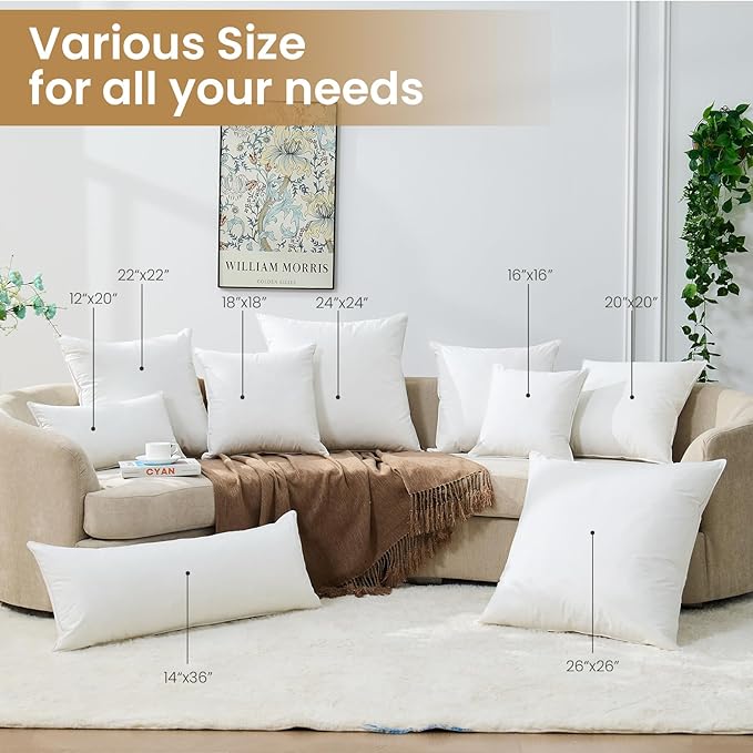 BHZ Throw Pillows 20x20 Euro Pillow Inserts Set of 2, Down Feather Alternative Pillow Inserts, Decorative Soft Large Square White Throw Pillows Insert for Couch Bed Dorm Sofa with Breathable Cover
