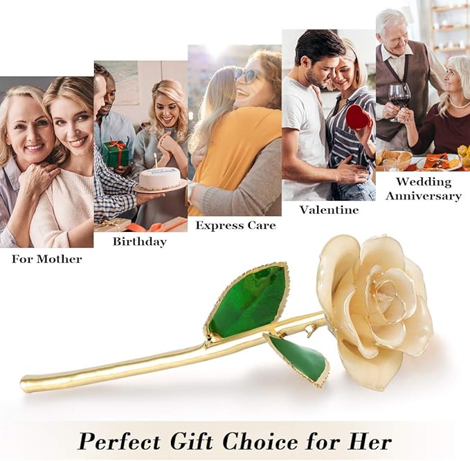 Ejoyous 24K Gold Rose, Forever Preserved Real Rose Lover Mom Wife Daughter Girl Friend, Unique Present on Valentines Day, Wedding Anniversary, Birthday, Proposal, Reward (Ivory