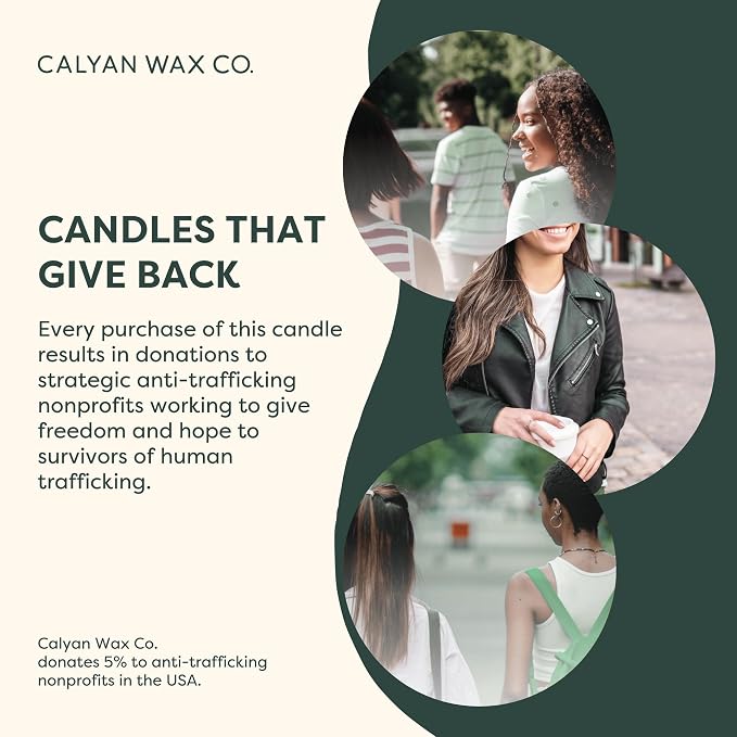 Calyan Wax Co. Aspen & Fog 3 Wick Scented Candle - 43 Hour Burn - Luxury 3 Wick Soy Candles - Clean Soy Wax Candles - Long Lasting Large Glass Jar Candle for Home - 14.9oz