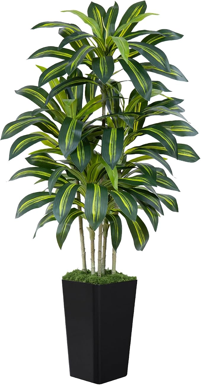 Dracaena Plant Artificial Tree 5Ft Tall Fake Tropical Floor Plants Potted (Real Touch) Artificial Silk Tree Leaf Faux Trees Black Tall Planter for Home Office Living Room Indoor Outdoor Decor