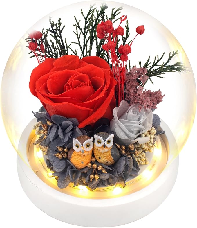 Flowers, Roses Gift - Preserved Flowers & Preserved Roses Gift for Women, Rose Arrangement that Lasts Forever – Birthday Gift for Women,Mother’s Day &Valentine, Flower for Delivery- Ruby red
