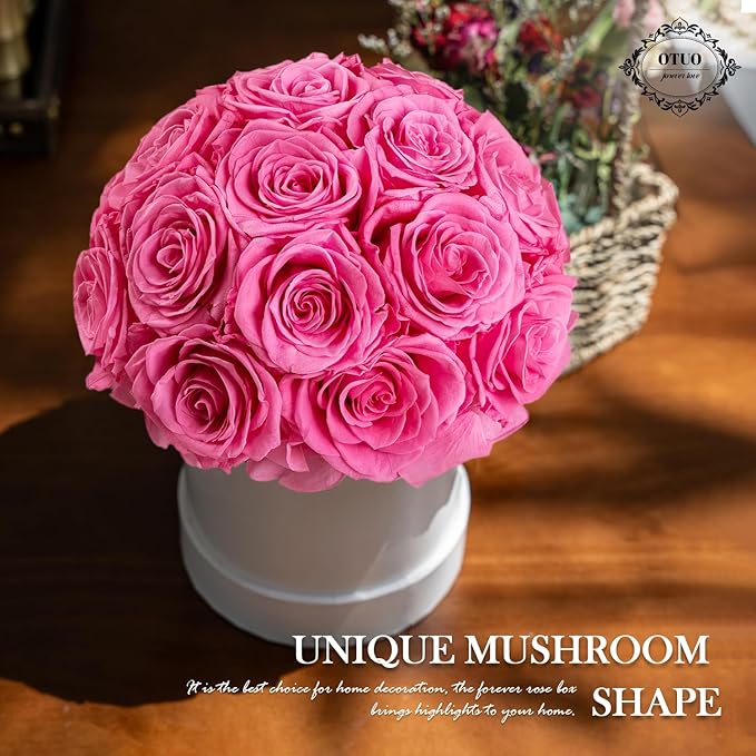 18 Preserved Roses in Round Dome Shape, Mother's Day Real Forever Flowers Rose Box, Eternal Rose Gift for Her Women Girl Friend Wife, Flower Gift for Valentines Day(Pink)
