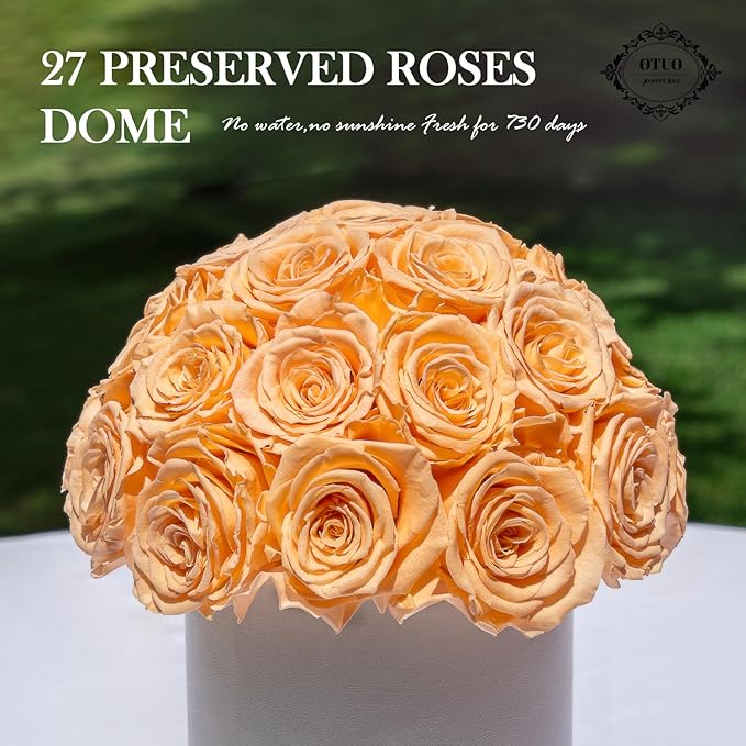 27 Preserved Roses in Round Dome Shape, Mother's Day Real Forever Flowers Rose Box, Eternal Rose Gift for Her Women Girl Friend Wife, Flower Gift for Valentines Day(Champagne)