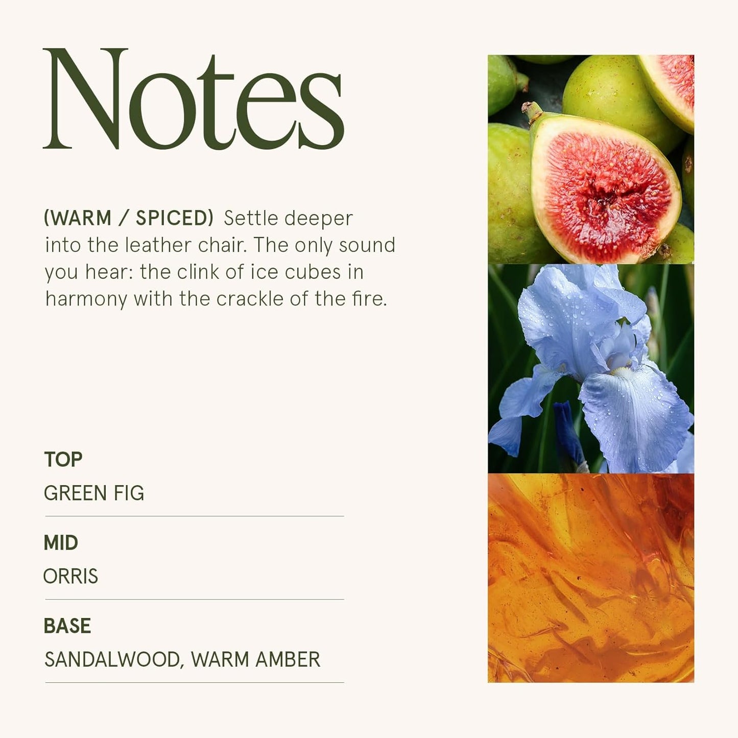 LA JOLIE MUSE Amber and Sandalwood Scented Candle | Santal Himalayen Candle | 6oz Luxury Soy Candle | Clean Burn & Long-Lasting | Gift-Ready for Hosts & Gatherings | Elegant Home Décor